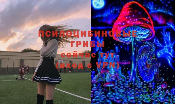 стаф Алексин