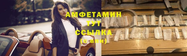 винт Алзамай