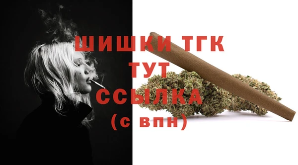 ПСИЛОЦИБИНОВЫЕ ГРИБЫ Алексеевка