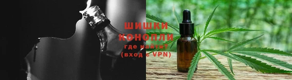 ПСИЛОЦИБИНОВЫЕ ГРИБЫ Алексеевка