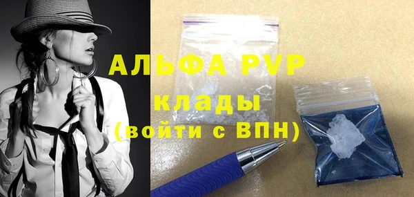 стаф Алексин